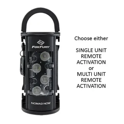 Portable LED light with remote activation options.