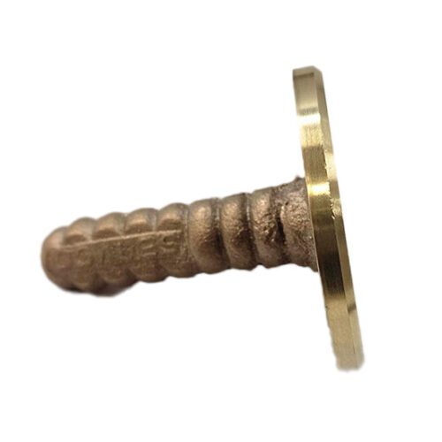 Bronze screw with a circular metal head.