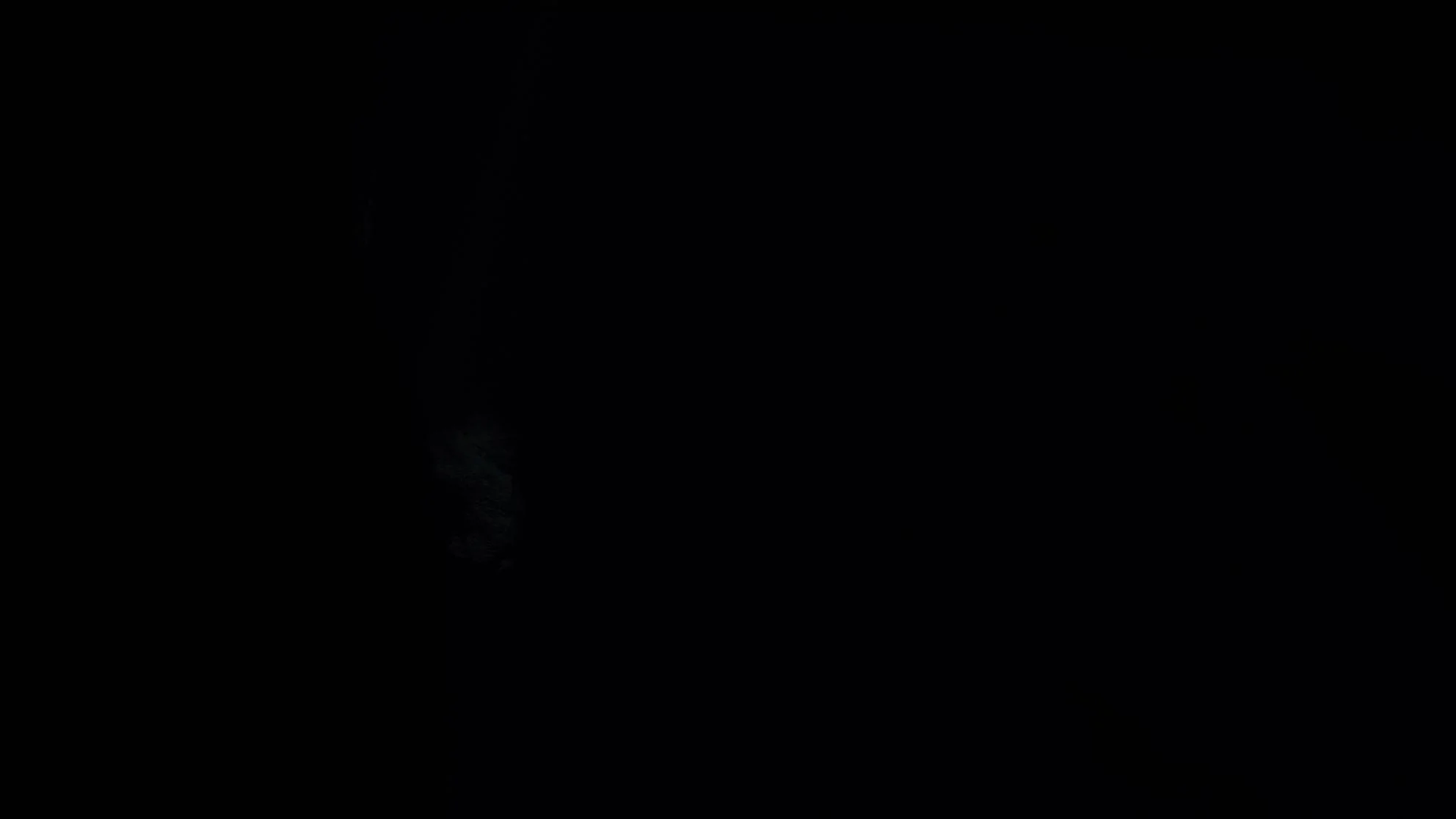 Completely dark image with no visible details.